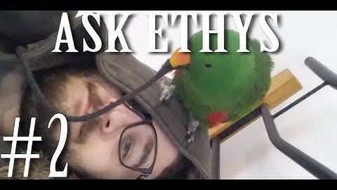 Ask Ethys: Lore Q&A (part 2)