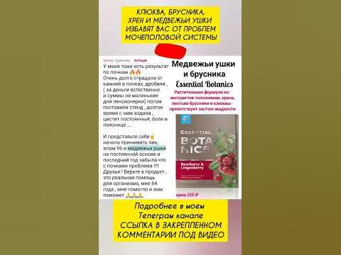 МЕДВЕЖЬИ УШКИ И БРУСНИКА СИБИРСКОЕ ЗДОРОВЬЕ - YouTube
