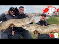 Angeln in Holland die Ü100 Hechtparty am Polder mit ENRICO DI VENTURA Teil 2/2 #8 - INSIDER FISHING