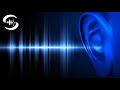 Beste Tinnitus Sound Therapie: Tinnitus-Linderung mit Frequenzen und Rosa Rauschen