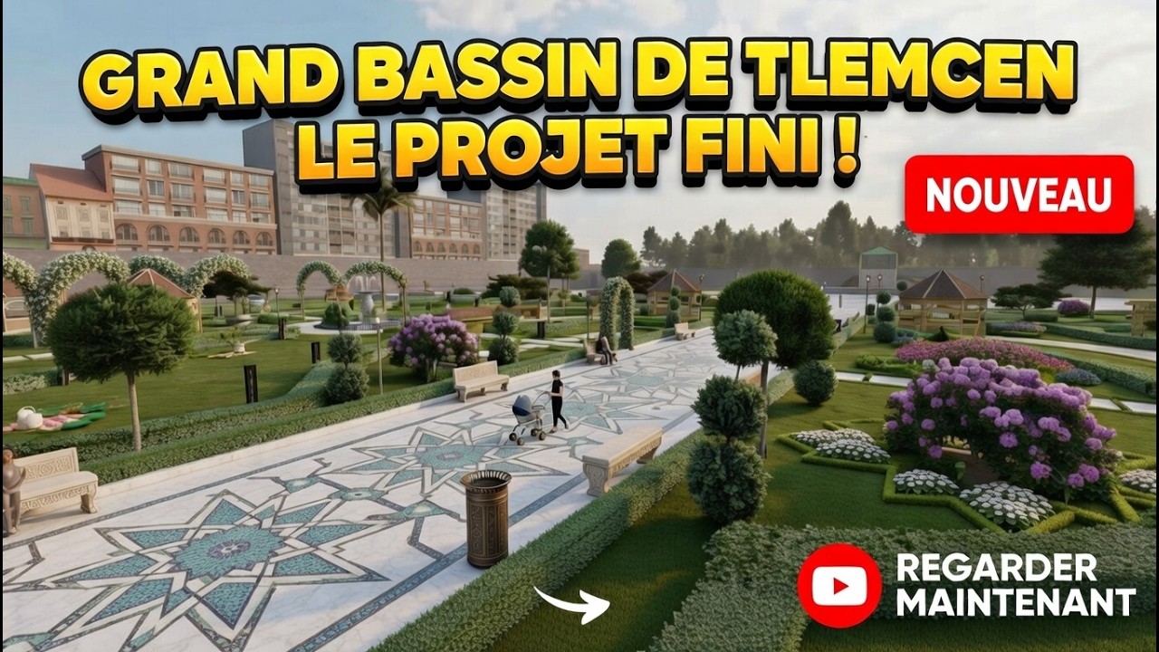Projet du Bassin de Tlemcen Critique