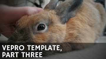 AA05 VEPro Template, Part Three: Cubase Integration