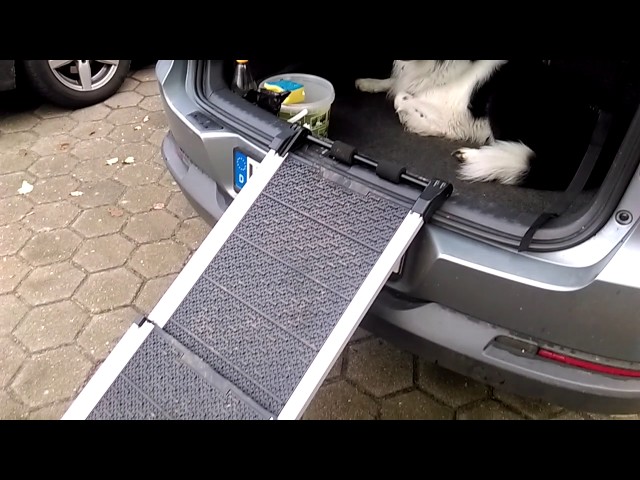 aufbewahrung fr kappen Cap Organizer  Perfekte Aufbewahrung deiner Caps  Soulbuddy