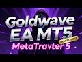 Goldwave EA MT5 Unlimited Version Download | Forex Robot
