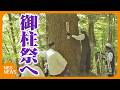 再来年の「御柱祭」へ　長野・伊那市の私有林から初めて「御用材」を選ぶ