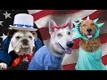 Dogs Dressed as Iconic Americans - Behind the Scenes