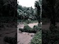 nature's revenge 😱