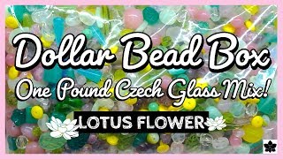 ✨ONE POUND Czech Glass BEAD MIX REVEAL #3 🌞 LOTUS FLOWER 🌸 Dollar Bead Box | Beaded Jewelry Making