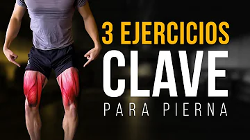 ¿Qué ejercicio entrena todos los músculos de las piernas?