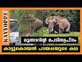 മുന്നാറിലെ കാട്ടുകൊമ്പൻ പടയപ്പയുടെ കഥ | padayappa elephant in munnar | kayyoppu