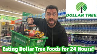 Eating Dollar Tree Foods for 24 Hours!