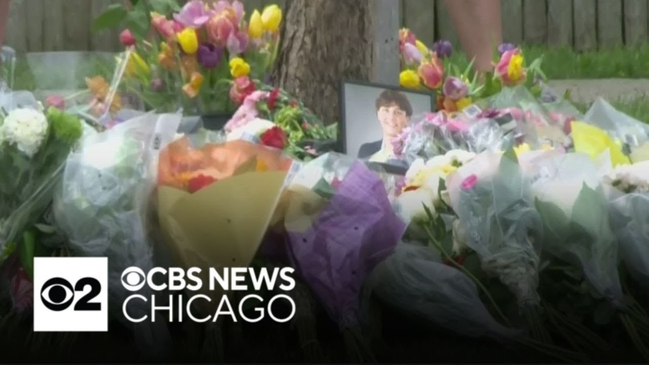 Tributes pour in for suburban Chicago teen killed in car crash - YouTube