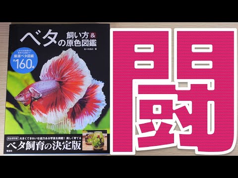 本】ベタ初心者の私が読んで感じた事を解説します。電波社 ベタの飼い