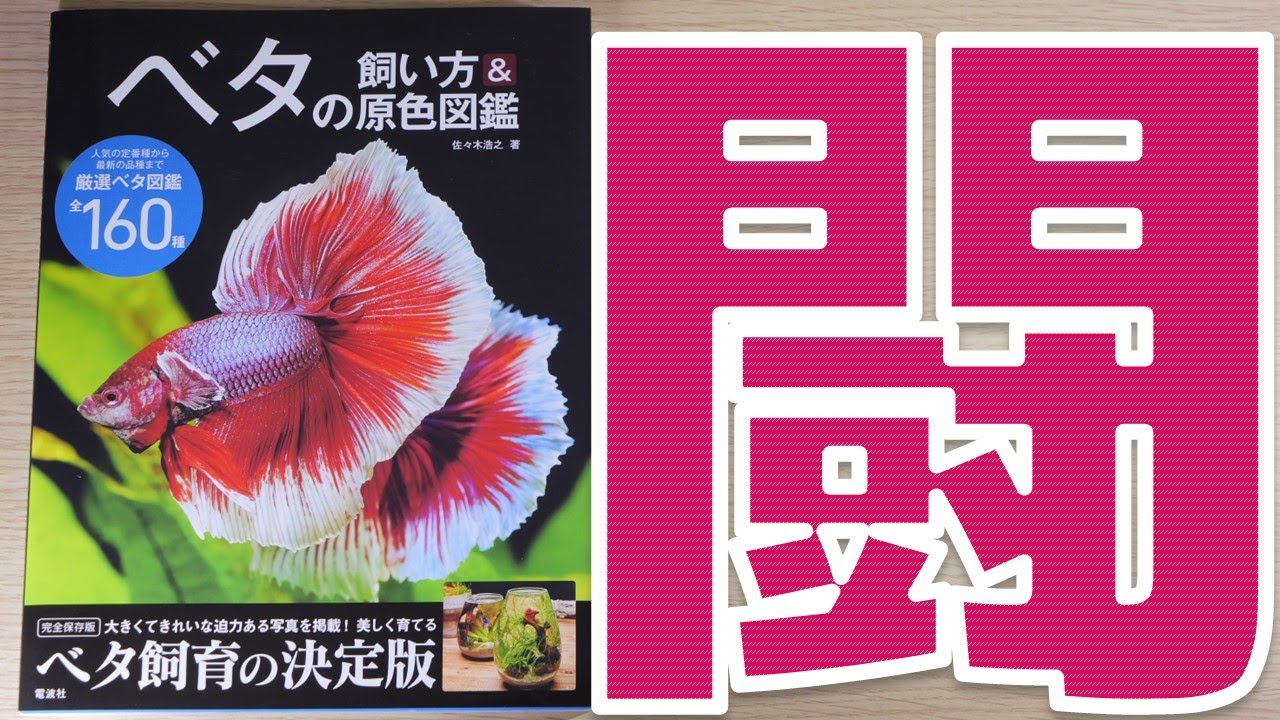 本】ベタ初心者の私が読んで感じた事を解説します。電波社 ベタの飼い