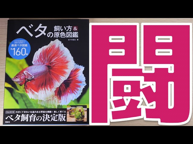 ベタ　　　4冊セット 飼育本など 　熱帯魚 本】ベタ初心者の私が読んで感じた事を解説します。電波社 ベタの飼い