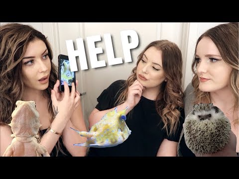 GUESSING OUR PETS!? W/ Taylor Nicole Dean And Emilee Rose (Taylor Failed)