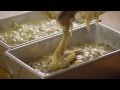 How to Make Zucchini Bread | Allrecipes.com