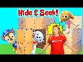 Assistant plays Box Fort Hide & Seek with Paw Patrol and Magic Snacks