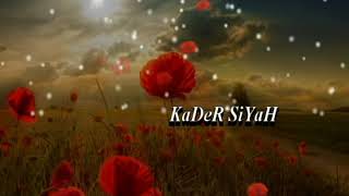 Seninle Bir Gece Yaşasam Yeter ¸.•*´KaDeR`*•.¸ Resimi