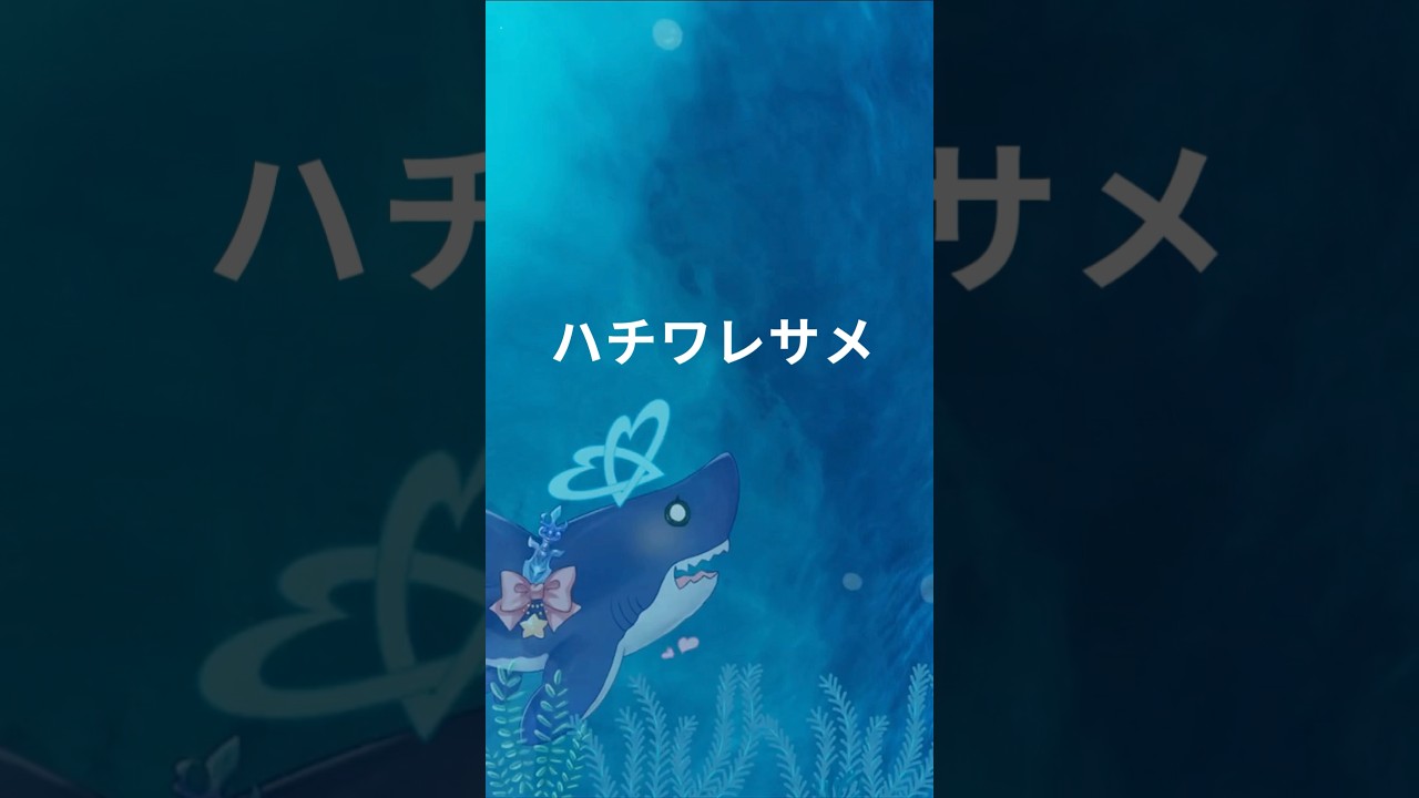 【66日目】ハチワレサメって知ってる?【#新人vtuber 】