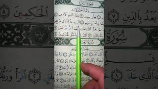 Recitation of Quran Surah At-Tin #quran #surahattin #surahtin