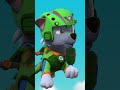 A Giant Bird flies off with Travelling Travis! | #Shorts #PAWPatrol