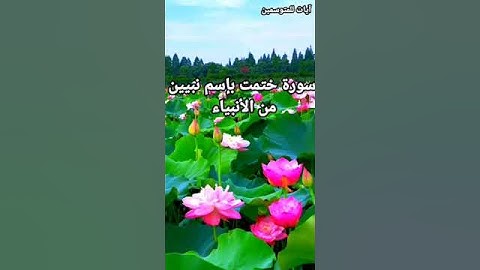 ما هي السورة التي ختمت باسم نبيين؟