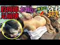【鍼灸　吸い玉　悶絶】股関節と腰の痛みは鍼灸整体と吸い玉で爆改善　股関節・腰痛治療なら痛みと自律神経治療専門鍼灸院 銀座　【東西医学統合研究所 鍼灸治療　銀座・横浜元町】