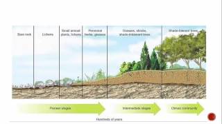 Primary and Secondary Succession