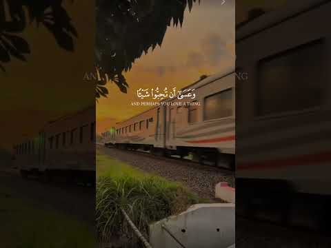 اكسبلور جويتي راحة نفسية الجيلي ذكريات  السعوديه حالات واتس في ورك