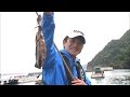 漁港でファミリーフィッシング ウキ釣りでアオリイカを狙う!/四季の釣り/2016年10月14日OA