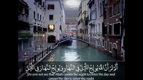 تلاوة رائعة|ألم تر أن الله يولج الليل في النار ويولج النهار في الليل| حالات واتس قرأن|Quran Status💙