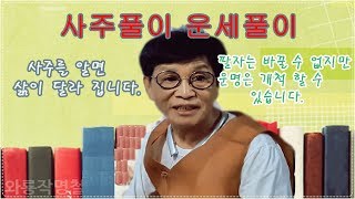 사주풀이 운세풀이 직업운 보기