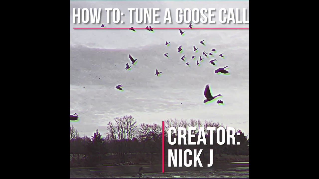 Tuning your short reed goose call