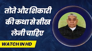 तोते और शिकारी की कथा से सीख लेनी चाहिए | Sant Rampal Ji Satsang | BKPK VIDEO