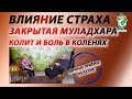 Влияние страха на организм Закрытая муладхара Колит и боль в коленях Руденко В.В. Академия Целителей