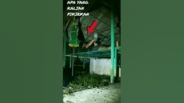 NEKAT BANGET DEMI MELIHAT HANTU SERAM #shorts #trending #hantu