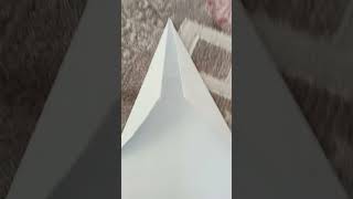 Best Paper Airplane In The Word Gg Gameruçak