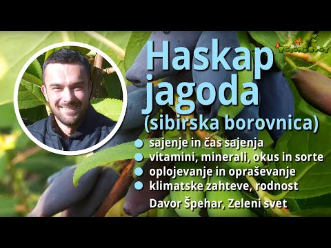 Video: Sibirska scila: opis, sajenje, nega, fotografija