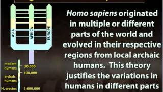 The Story of Human Evolution - Class 11