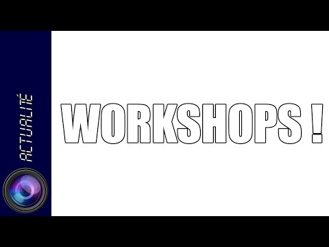 WORKSHOPS ! (et poils de chien sur mon pull) - WORKSHOPS ! (et poils de chien sur mon pull)