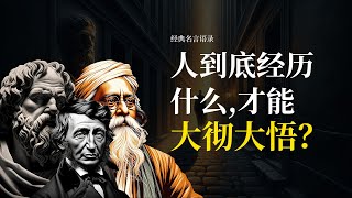 人到底經歷什麼, 才能大徹大悟人生感悟經典語錄分享