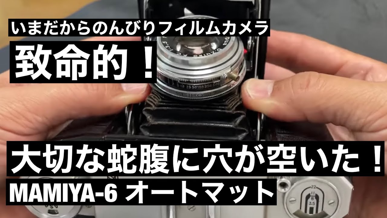 №359 MAMIYA-6 オートマットの蛇腹に穴が空いた！