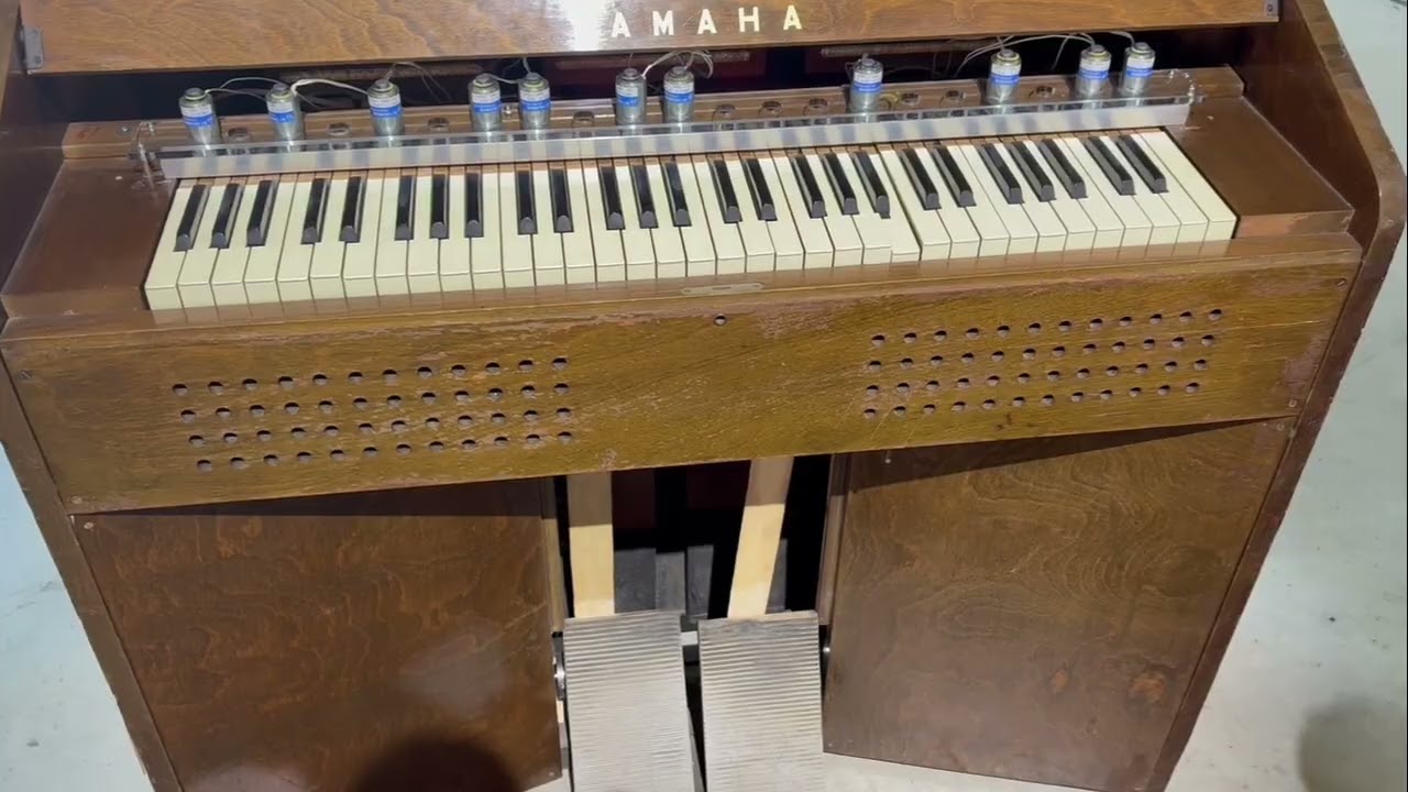 YUKO MOHRI, ENTANGLEMENTS