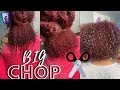 BIG CHOP ON MY LITTLE SISTER | NATURAL HAIR