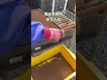種まき前の床土入れ・20250412