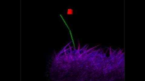 Grass Physics Tutorial (VelcroPhysics)