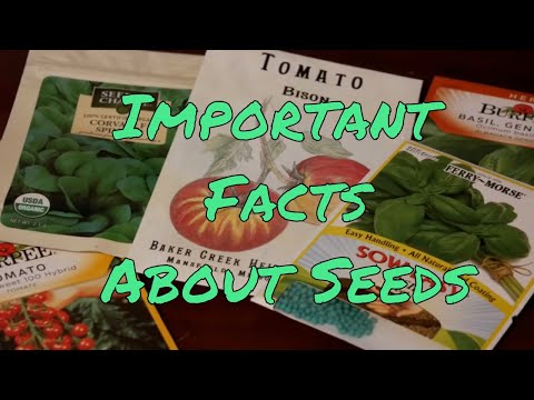 Video: Apakah tanaman organik Non GMO?