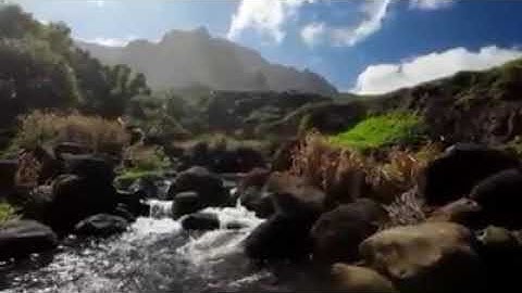 تلاوة ما تيسر من سورة القصص للقارئ أشرف السميعي