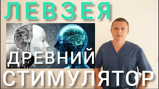 ЛЕВЗЕЯ l МЫШЦЫ И МОЗГ l ДРЕВНИЙ СТИМУЛЯТОР l Leuzea - ​​Muscle and Brain Stimulation